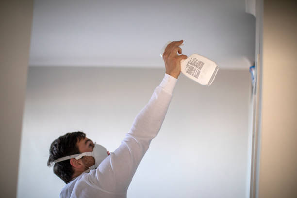 Best Same-Day Mold Removal  in Netcong, NJ