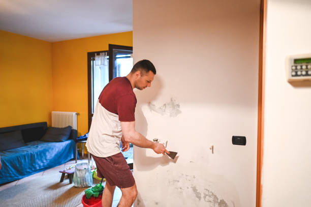 Best Crawl Space Mold Removal  in Netcong, NJ