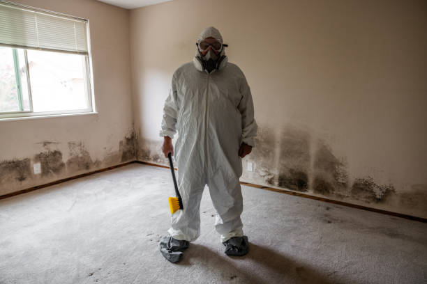 Best Attic Mold Removal  in Netcong, NJ